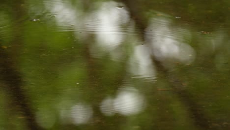 water surface hit by raindrops.