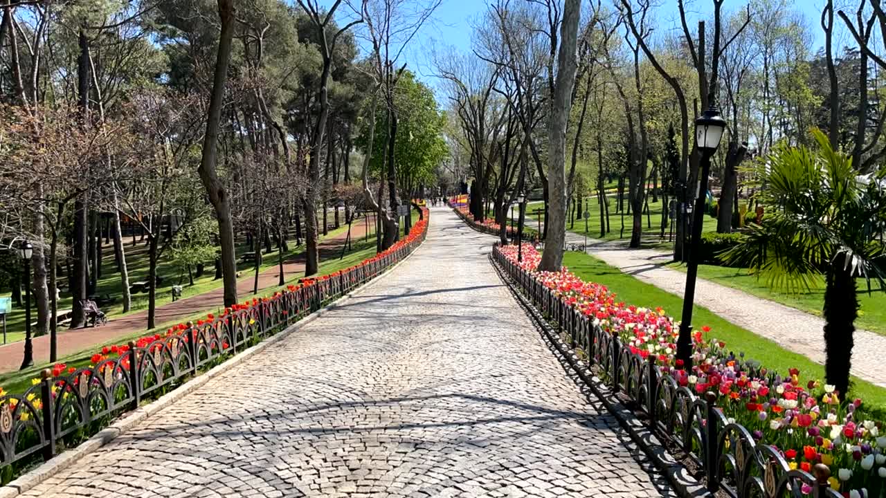 el festival de los tulipanes de estambul.