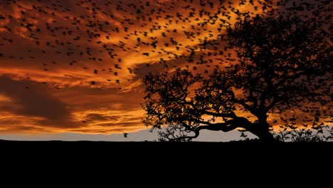 a swarm of thousands of birds at twilight sky with tree silhouette during sunset