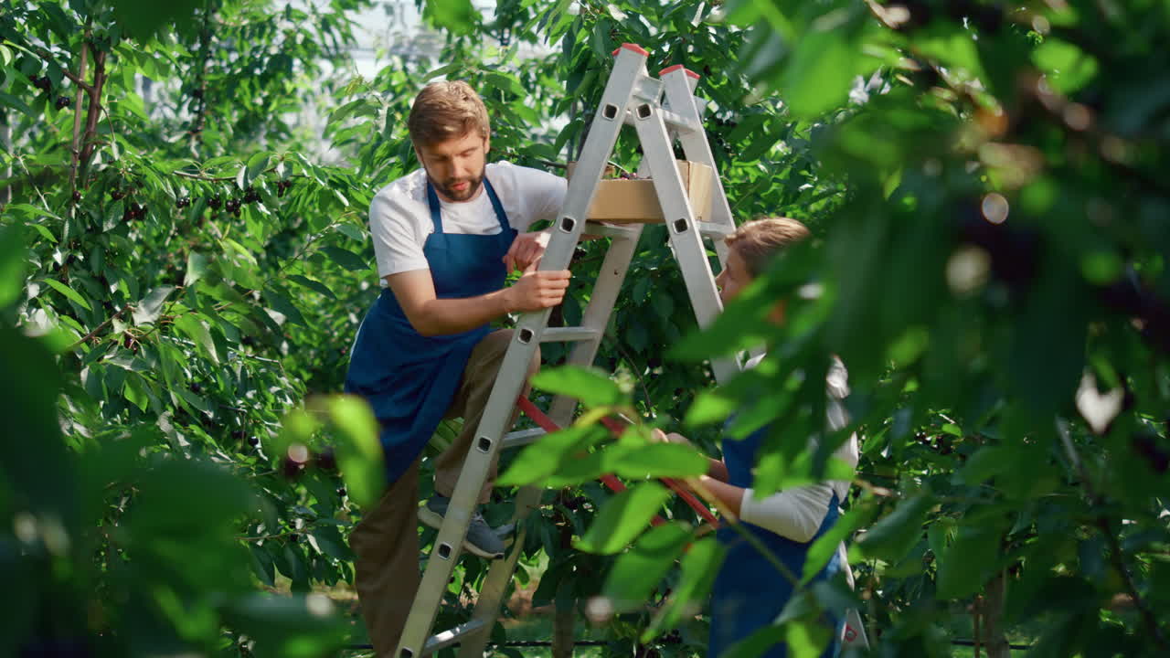 equipo de agrónomos discutiendo la actividad en la plantación de grandes tierras de cultivo rurales