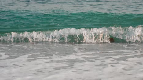 Pequeñas-Olas-Del-Océano-Salpicando-En-La-Playa