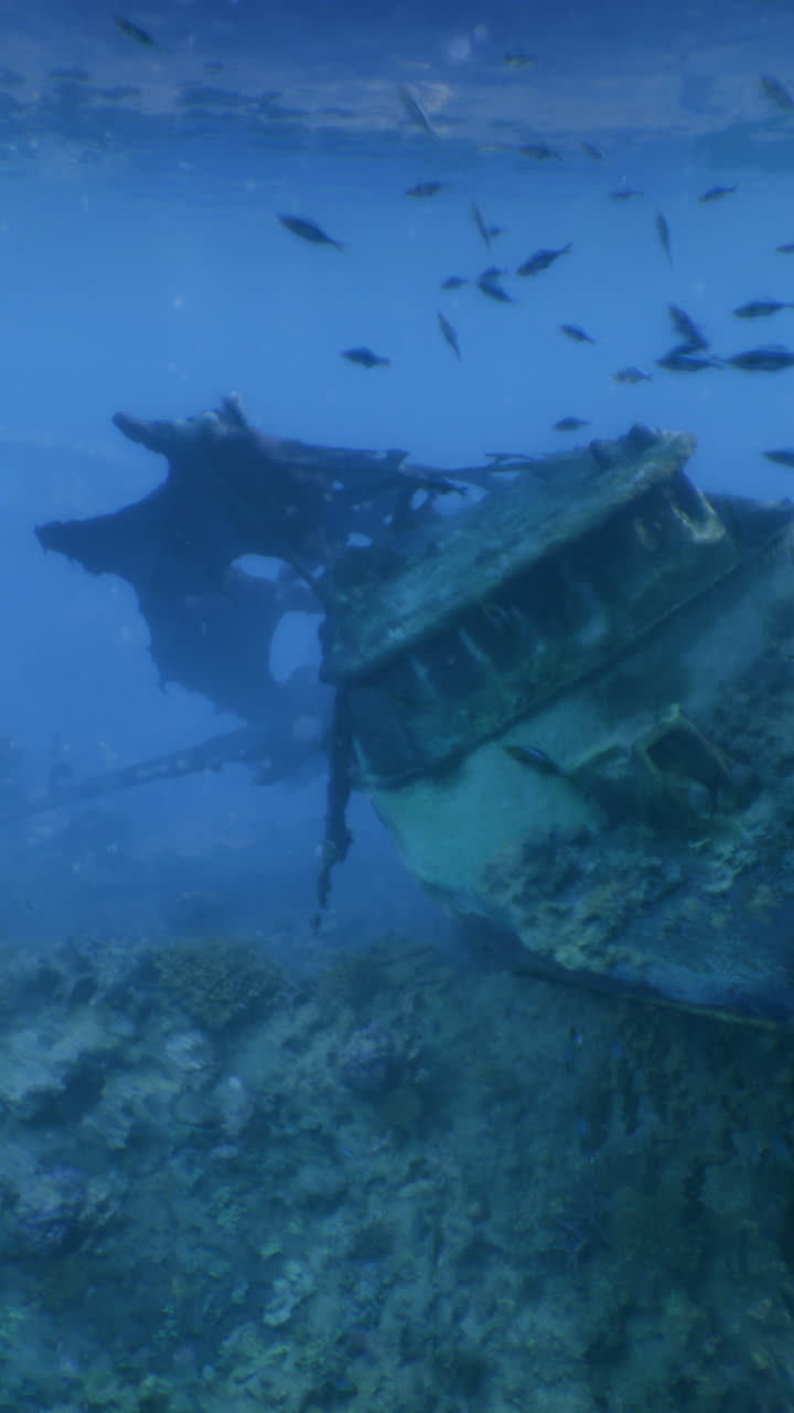 Beneath the crystal blue waters a sunken shipwreck lies among coral formations