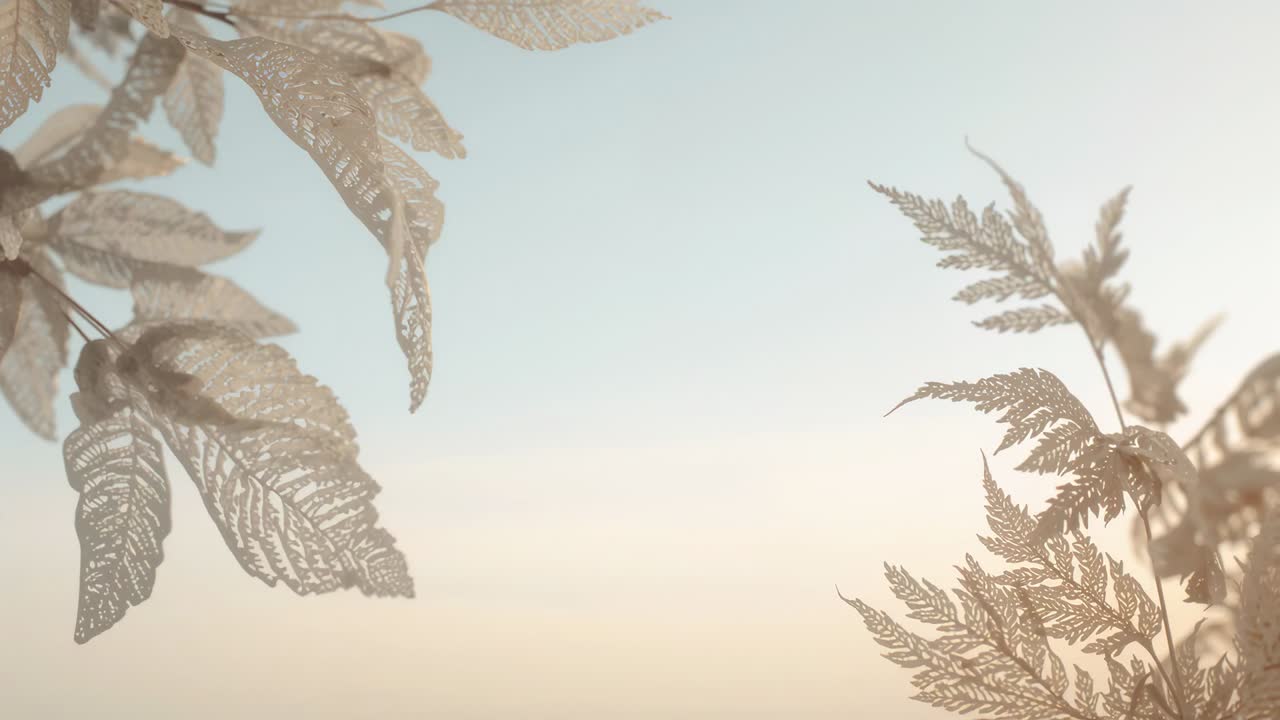 Swaying broad leaves and fern fronds moving across soft gradient sky in garden, stirred by breeze