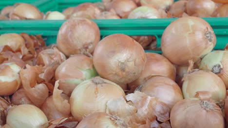 close-up of fresh onions in bins at a market