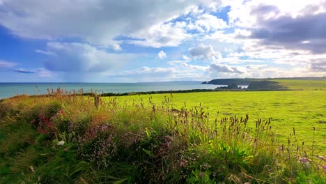 Irland-Epische-Orte-Waterford-Küste-Duschen-Auf-Das-Meer-In-Einer-Hellen-Sommernacht,-Wechselndes-Licht-Und-Farben