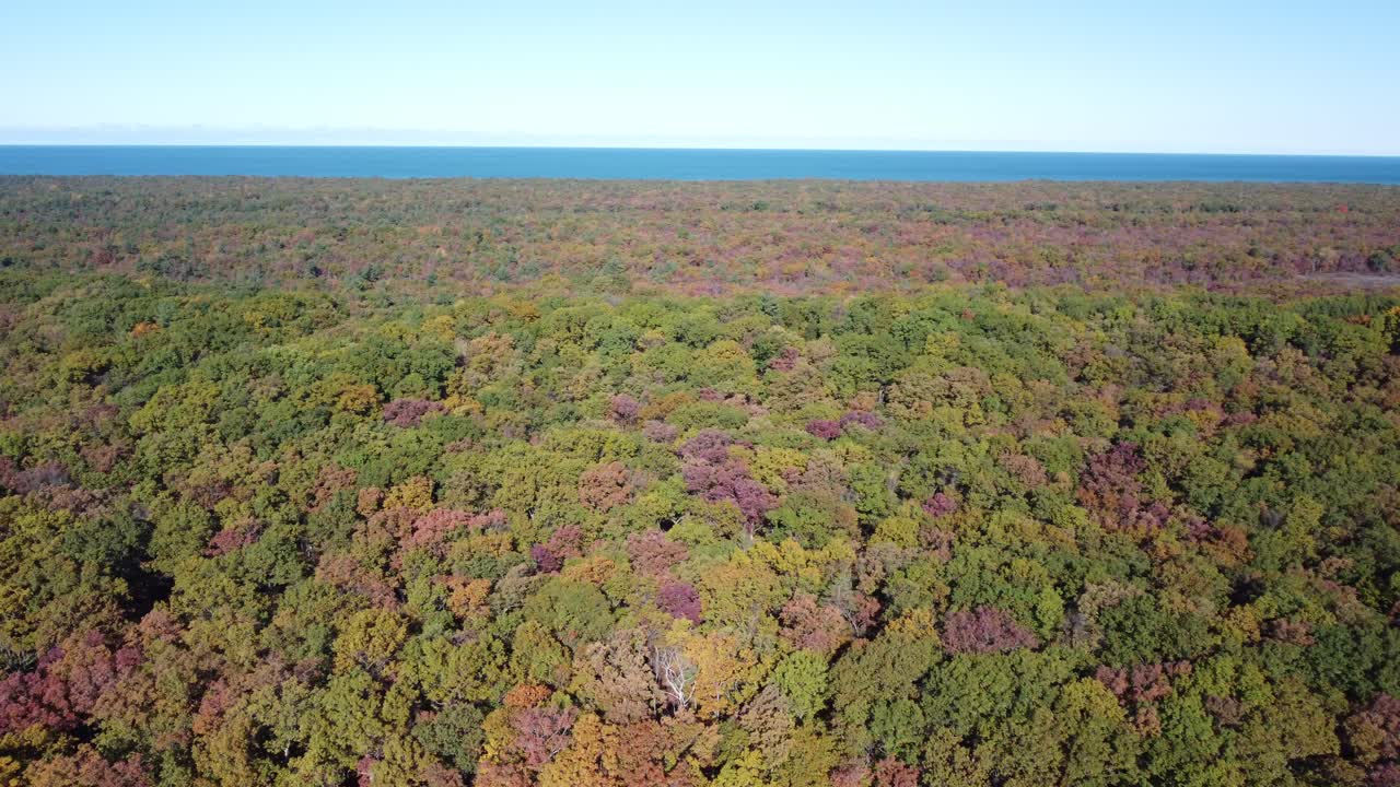 가을 단풍 시즌에 숲 옆에 있는 휴런 호수