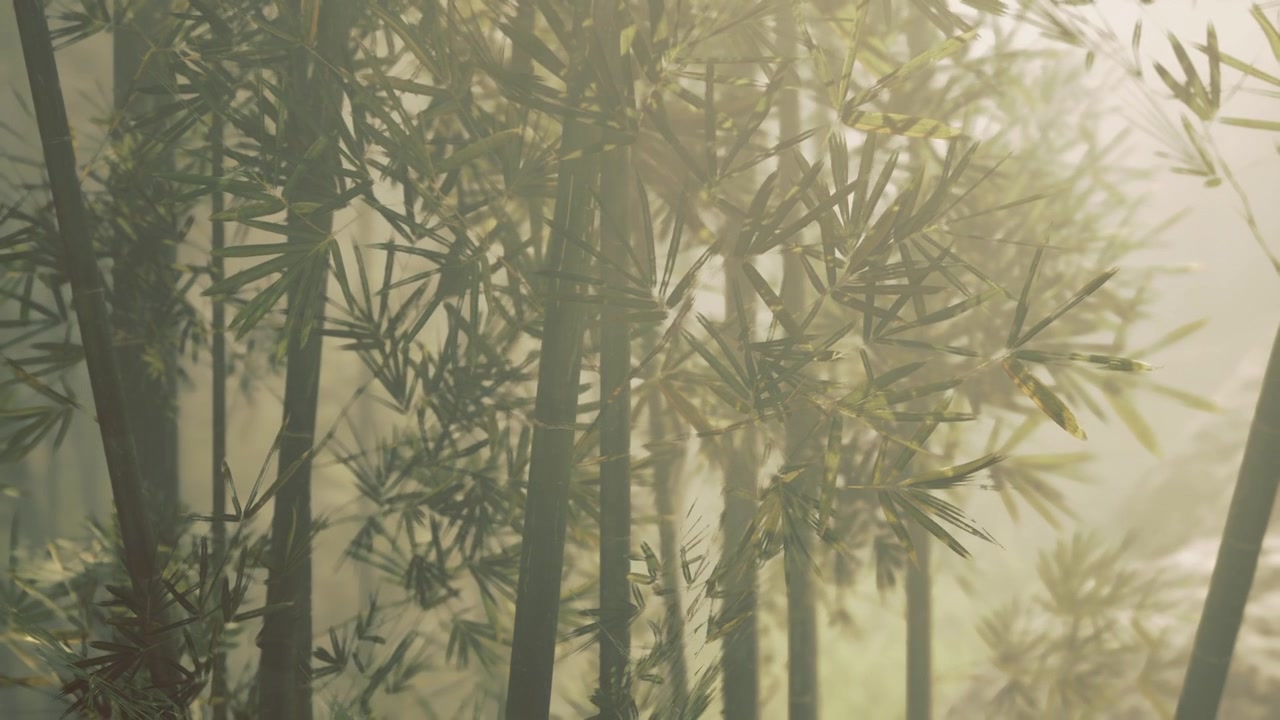 Bosco di bambù silenzioso con colori tenui e un'atmosfera appartata
