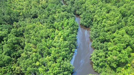 Aerial-view-from-a-dirty-river,-through-mangrove-forest,-at-Malanza-river-at-São-Tomé,Africa