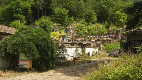 beehives on bulgarian apiculture farm on hillside