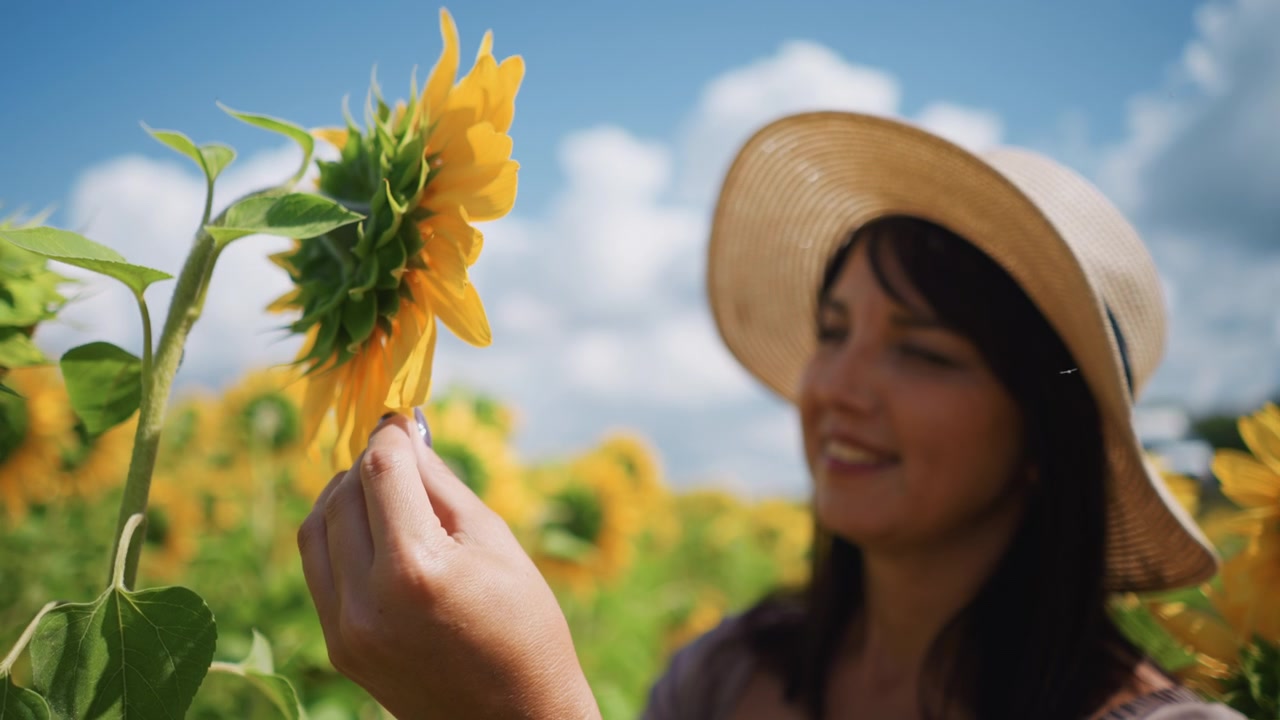 Primo piano di una donna che tocca e esamina delicatamente girasoli in piena fioritura con petali gialli vivaci su steli verdi. La scena è caratterizzata da una luce solare intensa che illumina i dettagli della texture dei fiori.