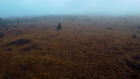 Endlose-Wiesen-In-Dichtem-Nebel-Bedeckt,-Flugaussicht-Aus-Der-Luft