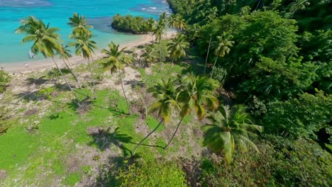 walking tourist on sandy beach with turquoise bay and palm trees