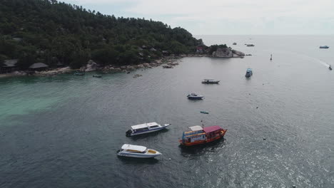 tropical beach with boats