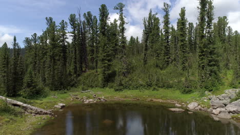 Beauty-of-Forest-Lake-2