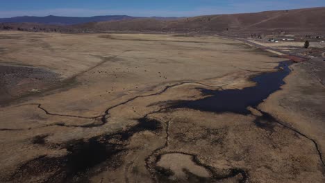 Humedal-Del-Desierto-Alto-Por-Derretimiento-De-La-Nieve