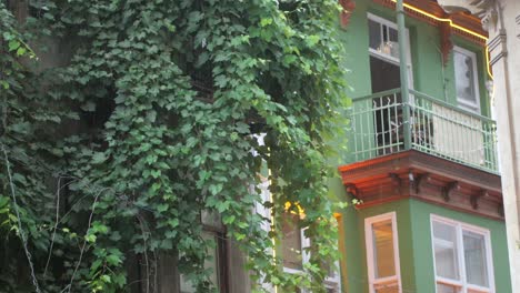 old building with ivy and balcony