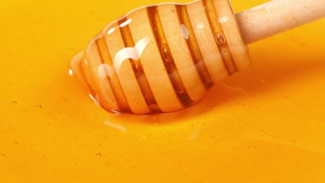 a wooden honey dipper turns on honey on the plain background. healthy organic thick honey, sweet honey dessert 4k. slow motion