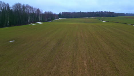 Vast-open-field-with-patches-of-snow,-trees-lining-horizon,-aerial-view-in-overcast-weather