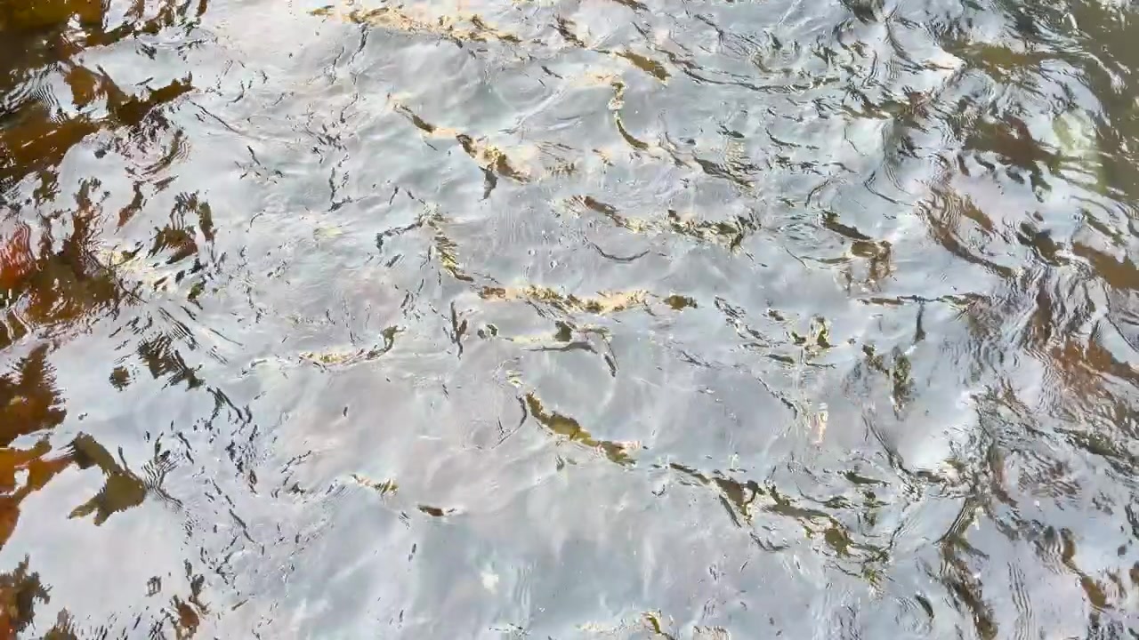 Acqua limpida scorre su sassi levigati, creando lievi increspature e riflessi naturali alla luce del giorno.