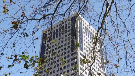 autumn leaves dropping and swaying in wind in front of city office building
