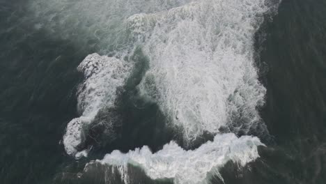 gordons bay bommie waves breaking and splashing on rocky cliffs - dangerous surfing spot near coogee beach - sydney, nsw, australia