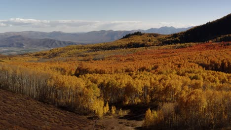 Los-Coloridos-Colores-Cambiantes-De-Los-árboles-Del-Norte-De-Utah