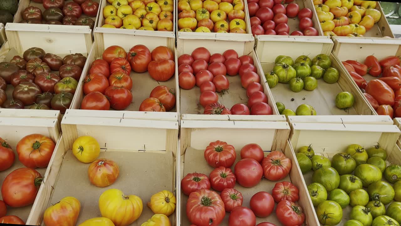 selección de tomates de diferentes colores con tamaño y apariencia en cajas de madera en un mercado para la venta