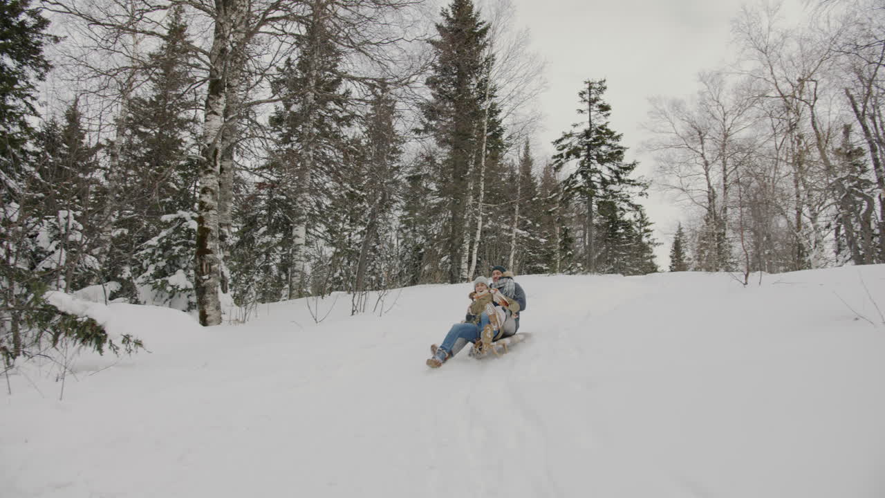 Par som aker kjelke i snødekt skog