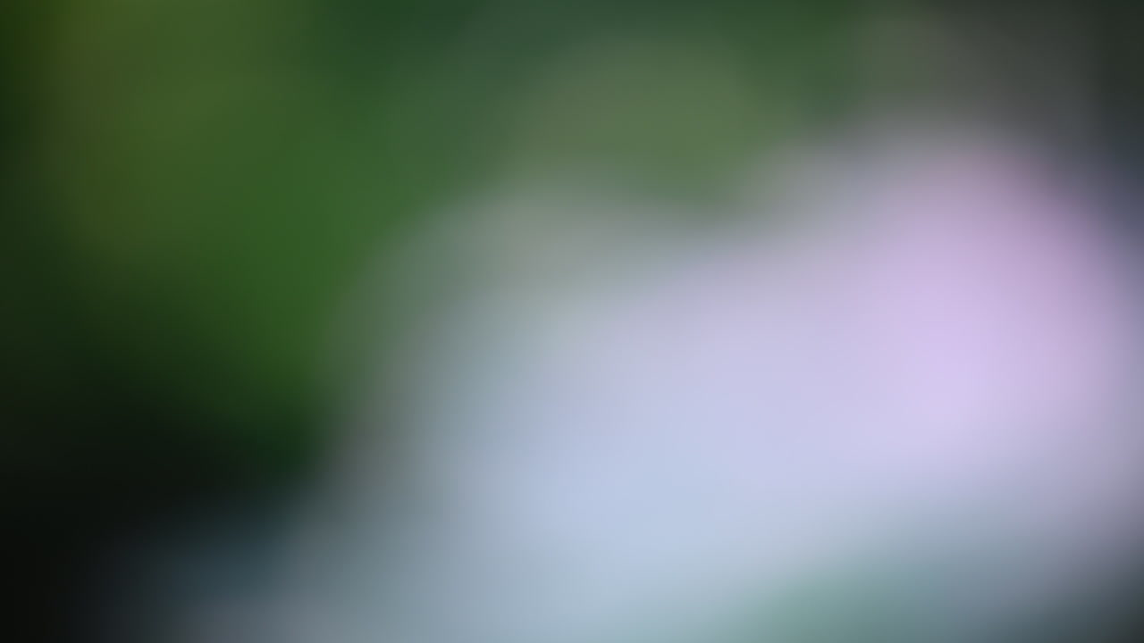 Abstract blurred background with green and purple soft hues