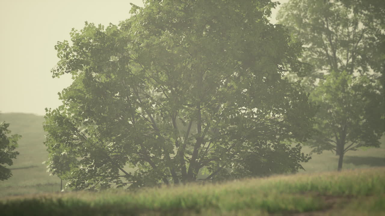 여름 에 큰 도시 의 중심 에 있는 공원 의 경치 좋은 전망