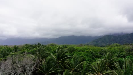 Drone-shot-over-Hawaii's-dense-forest,-location-of-Jurassic-Park-filming