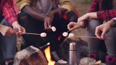 friends roasting marshmallows at a campfire