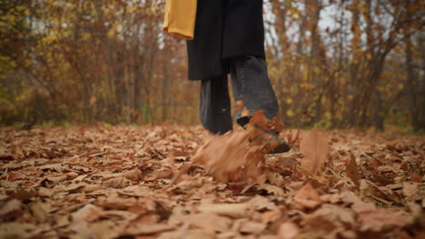 lower angle view of individual walking in forest, black jeans and canvas shoes visible, playfully kicking through a carpet of dry autumn leaves