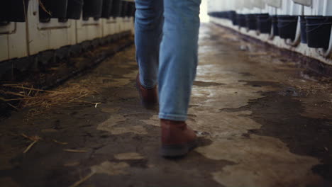 zapatos de granjero caminando cerca de la instalación de vaquería. trabajador agrícola comprobando el granero