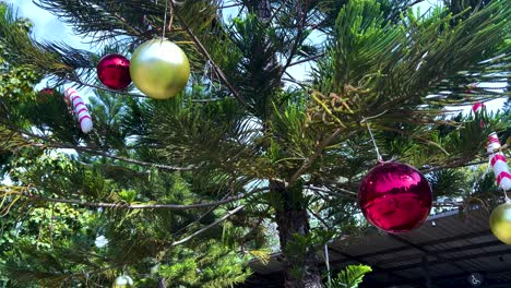 colorful ornaments hanging on a pine tree