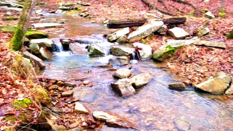 Increíbles-Videos-De-Cascadas-Del-Bosque-Nacional-Shawnee-En-El-Sur-De-Illinois