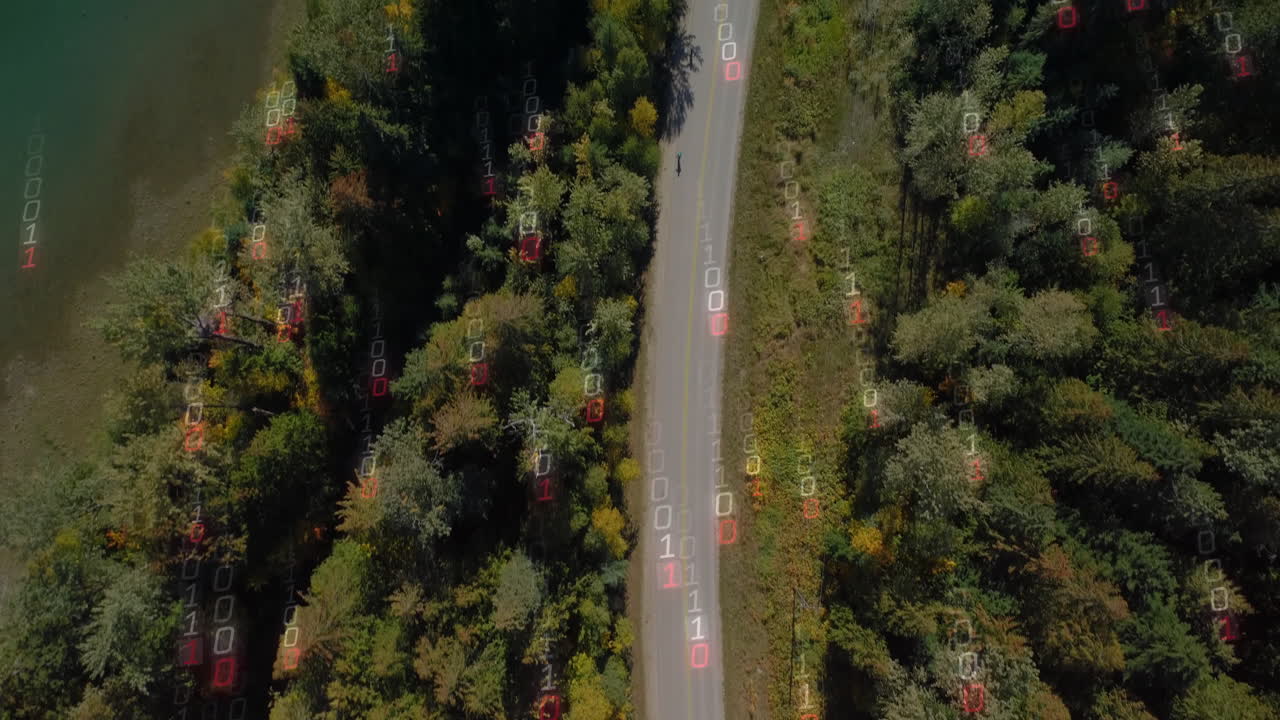 3D render showing aerial forest road overlay projecting binary digits and red detection boxes