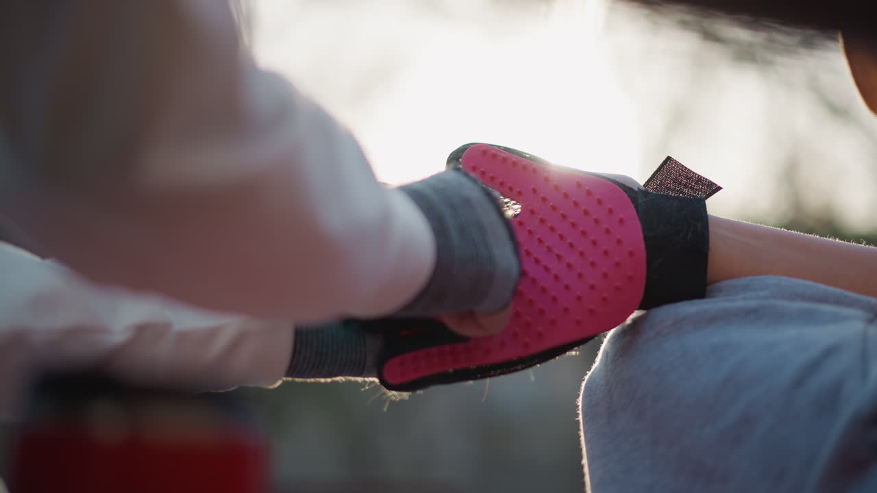 Mujer poniéndose un guante, asegurando un guante rosa, primer plano de una mujer asegurando un guante antes de una actividad al aire libre, el brillo del atardecer ilumina a una mujer abrochándose un guante rosa preparándose para caminar