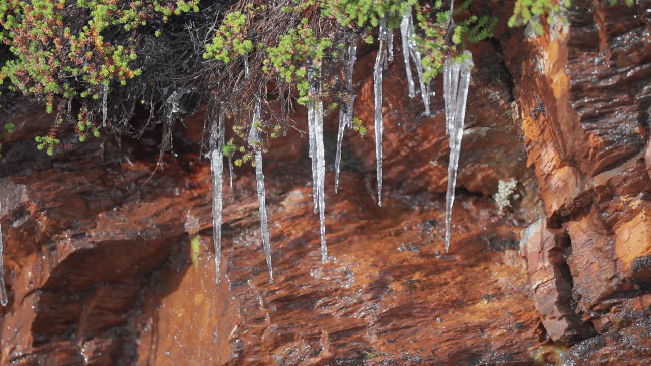 gotas de agua de hielo derretido colgando de la ladera rocosa cubierta de plantas verdes