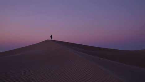 silhouette on a desert dune at sunset