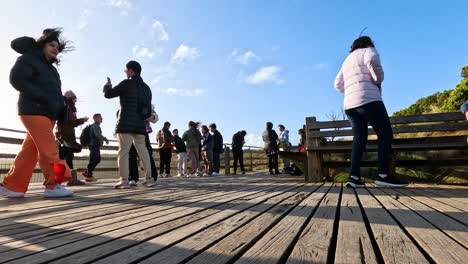 visitors enjoying the scenic view and taking photos