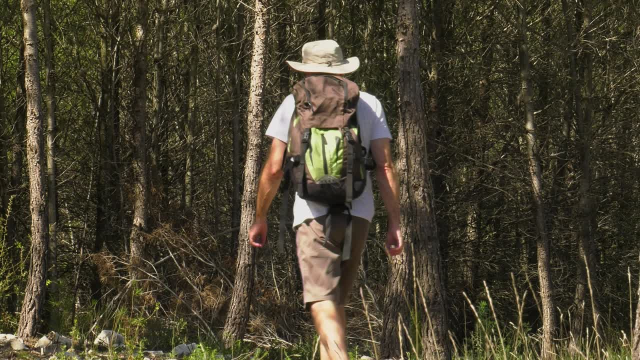 hombre en equipo de senderismo caminando a través de los árboles en el bosque