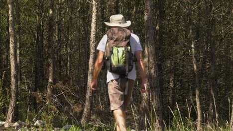 Man-in-hiking-gear-walking-through-trees-in-forest