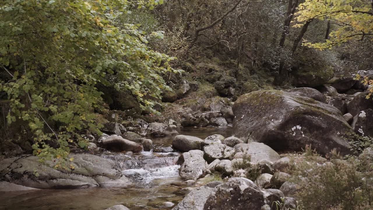 Lille bæk med klippefyldte strømfald midt i skoven i slowmotion