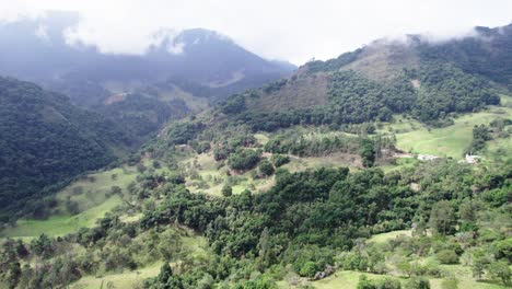 Vista-De-Drones-Del-Bosque-En-Colinas-Con-árboles-Silvestres-Durante-El-Día