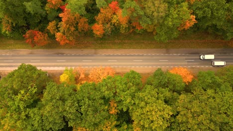 aerial view above road in forest in fall with cars