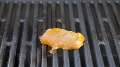 preparar carne fresca en una parrilla de barbacoa de gas
