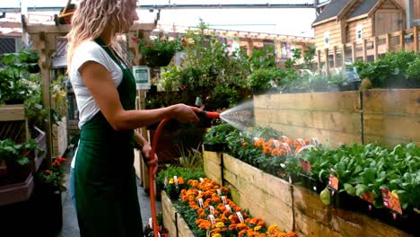 female florist watering plant with water hose