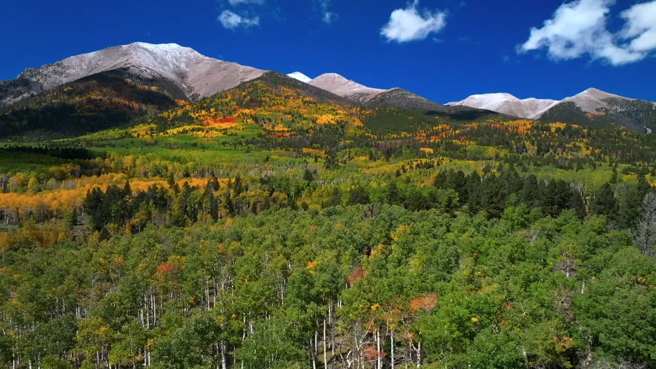 Mt Mount Shavano 14er Tabeguache Peak aerial drone Colorado trail Sawatch Range fall autumn aspen trees San Isabel National Forest snow dusting morning vibrant blue sky camping clouds circle left