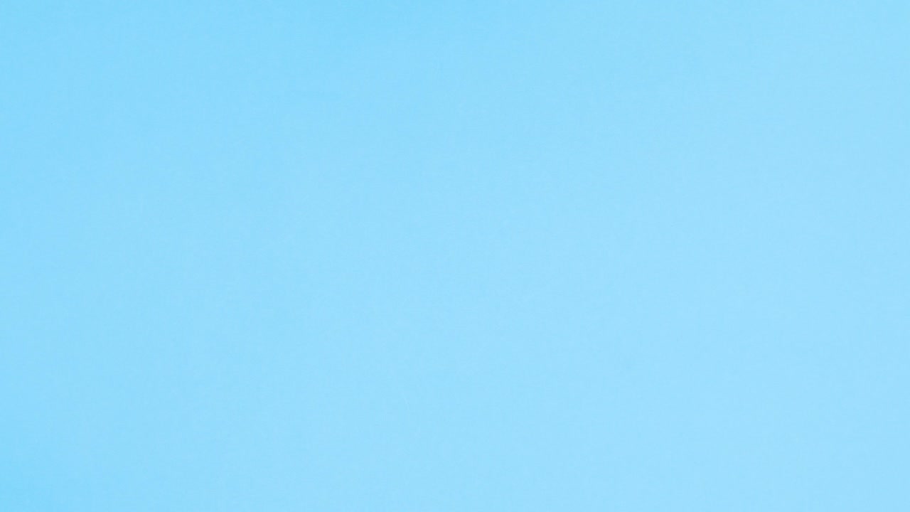 Yellow transparent frame for text appear with flowers on blue theme. Stop motion